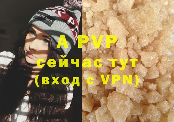 молекула духа Вяземский